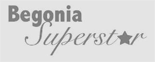 Begonia Superst r trademark