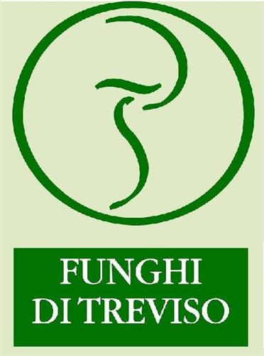 FUNGHI DI TREVISO trademark