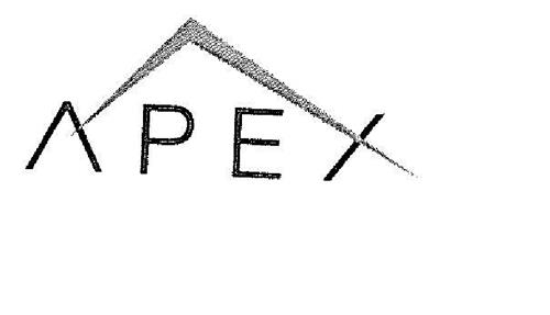 APEX trademark