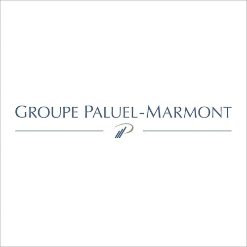 P GROUPE PALUEL-MARMONT trademark