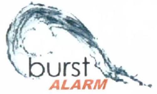 burst ALARM trademark