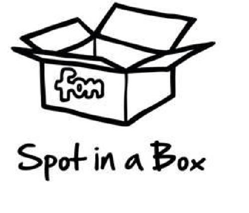 FON SPOT IN A BOX trademark