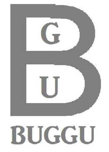 BGU BUGGU trademark