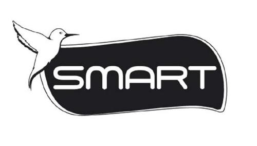 SMART trademark