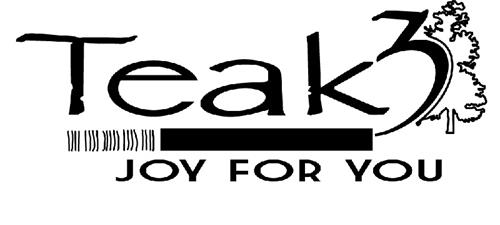 TEAK3 JOY FOR YOU trademark