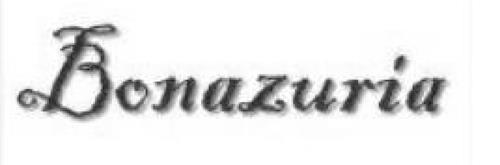 BONAZURIA trademark