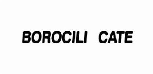 BOROCILI CATE trademark