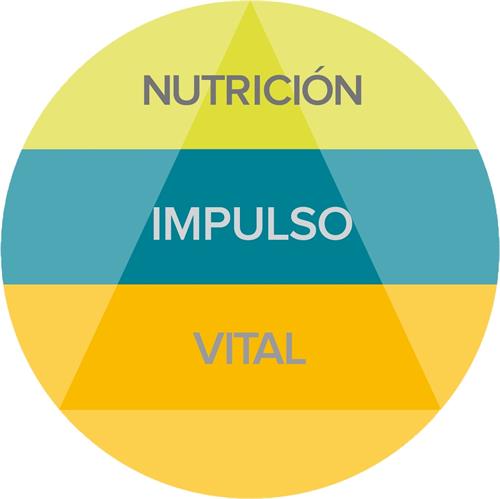 NUTRICIÓN IMPULSO VITAL trademark