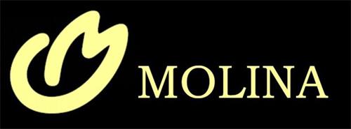 MOLINA trademark