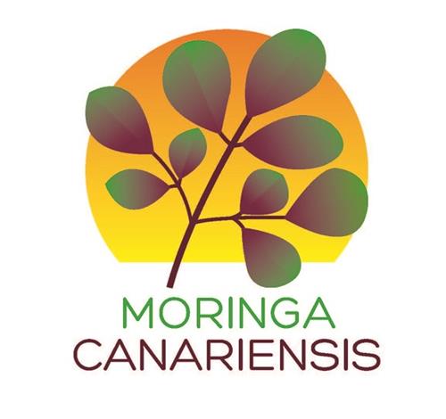 MORINGA CANARIENSIS trademark