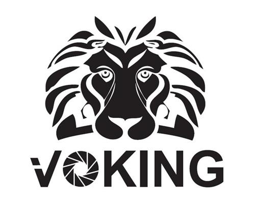 VOKING trademark