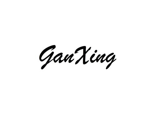 GanXing trademark