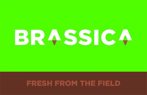 BRASSICA FRESH FROM THE FIELD trademark