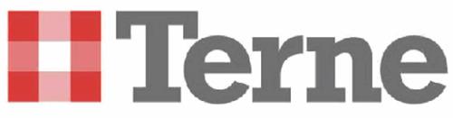 Terne trademark