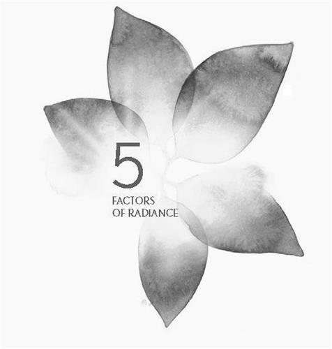 5 FACTORS OF RADIANCE trademark