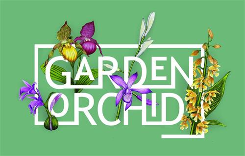 GARDEN ORCHID trademark