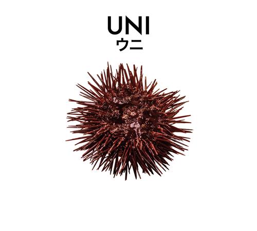 UNI trademark