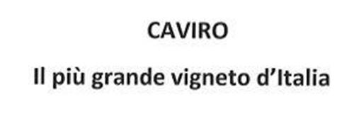 CAVIRO Il più grande vigneto d'ltalia trademark