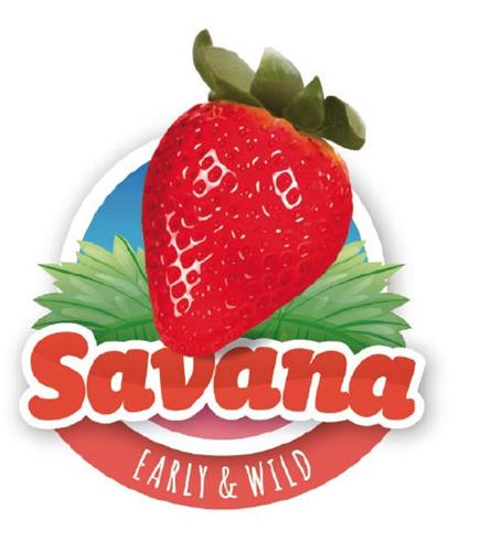 Savana EARLY & WILD trademark