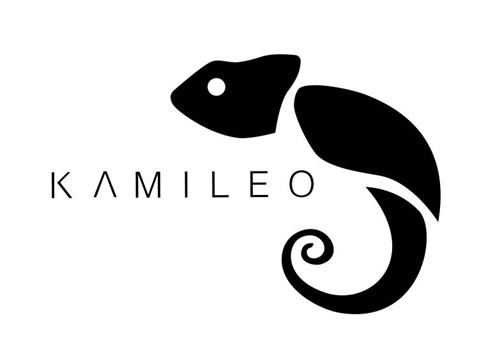 KAMILEO trademark