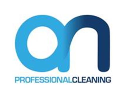 AN PROFESSIONAL CLEANING trademark