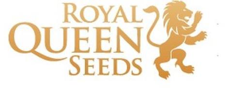 ROYAL QUEEN SEEDS trademark