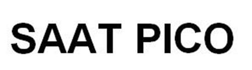 SAAT PICO trademark