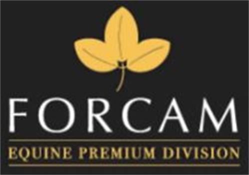 FORCAM EQUINE PREMIUM DIVISION trademark